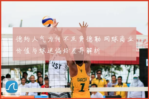 德约人气为何不及费德勒 网球商业价值与球迷偏好差异解析