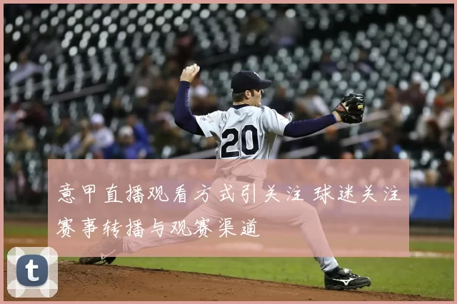 意甲直播观看方式引关注 球迷关注赛事转播与观赛渠道