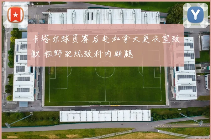 卡塔尔球员赛后赴加拿大更衣室致歉 粗野犯规致科内断腿