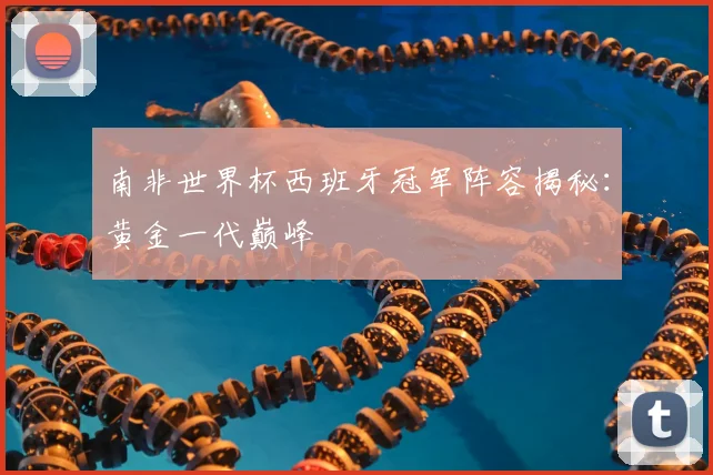 南非世界杯西班牙冠军阵容揭秘:黄金一代巅峰