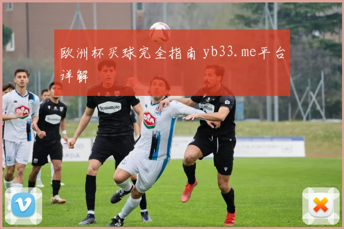 欧洲杯买球完全指南 yb33.me平台详解
