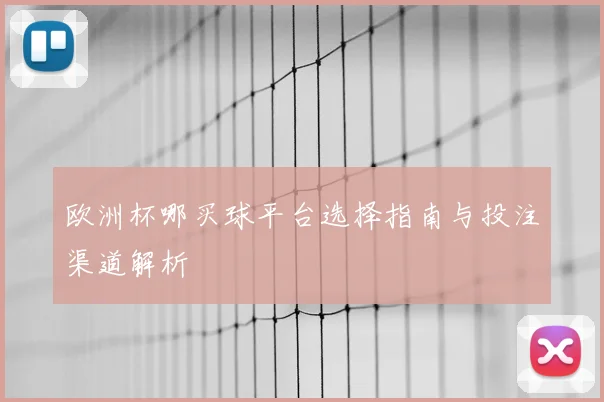 欧洲杯哪买球平台选择指南与投注渠道解析