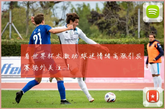 看世界杯太激动 球迷情绪高涨引发赛场外关注_1