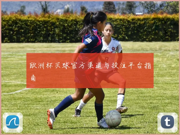 欧洲杯买球官方渠道与投注平台指南