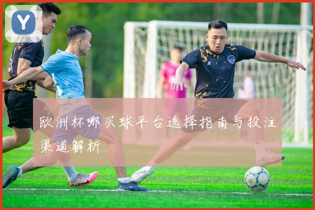 欧洲杯哪买球平台选择指南与投注渠道解析