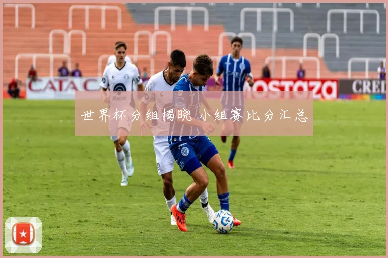 世界杯分组揭晓 小组赛比分汇总